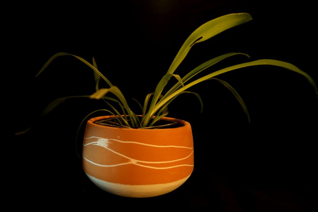 Pot A Plante Faience Sgraffite 1024x683
